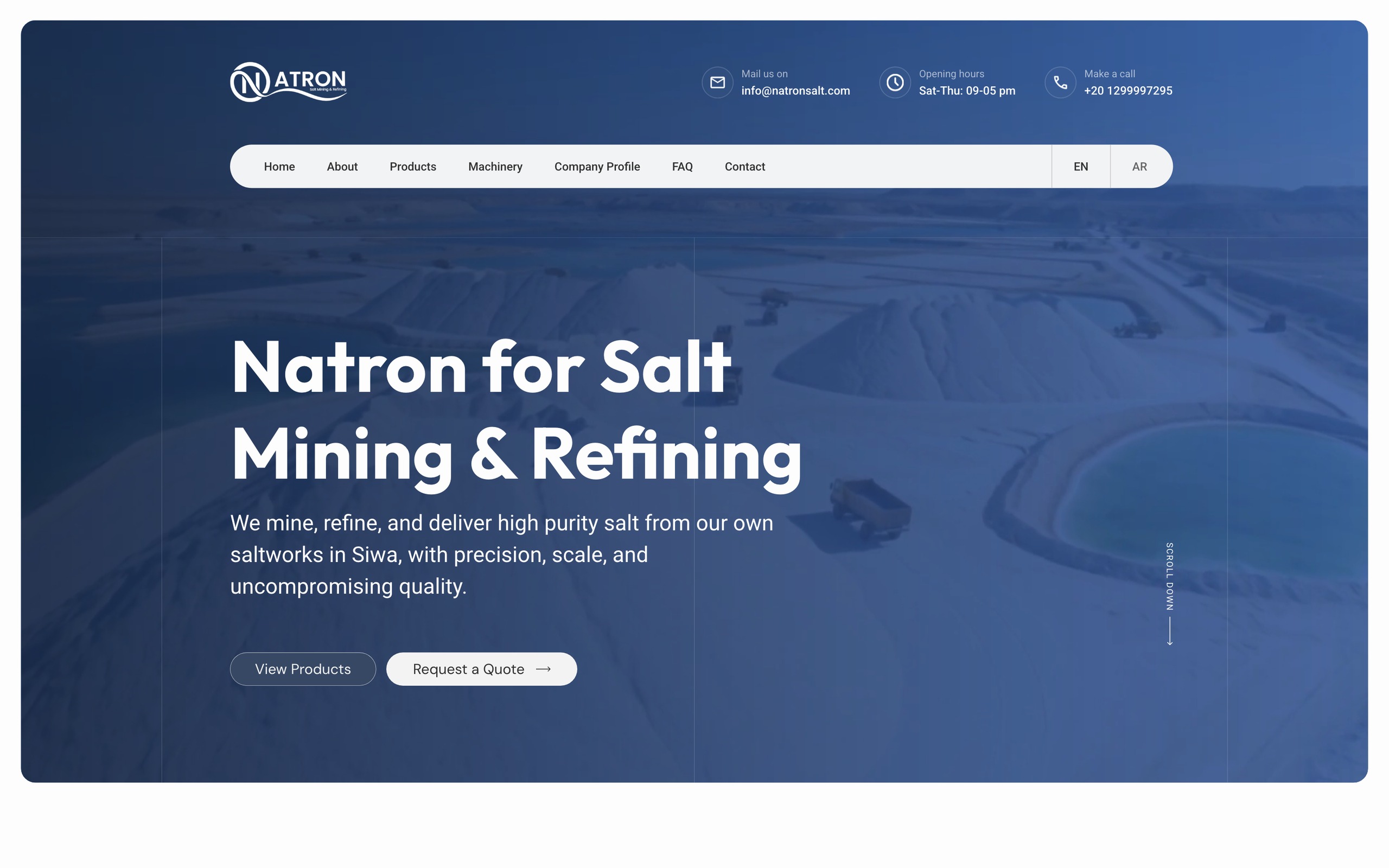 Natron Salt — live-site capture